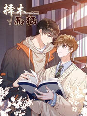 Choose Wood and Dwell (ENG)